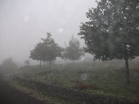 fugio Pirao-20101010 124